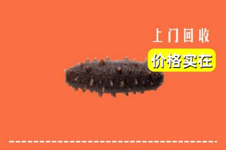 鲤城区回收海参