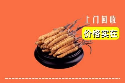 鲤城区回收冬虫夏草