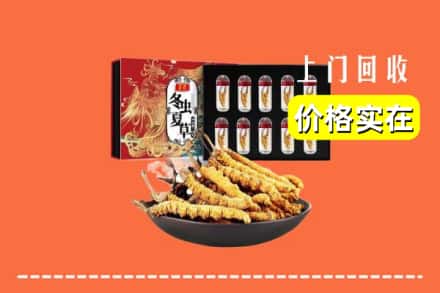 鲤城区回收虫草